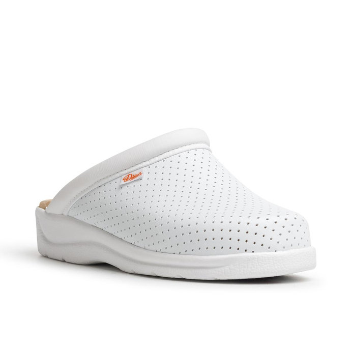 Dian PISA OB Zdravotná pracovná obuv