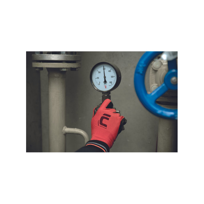 Cerva HORNBILL Pracovné rukavice 12 párov