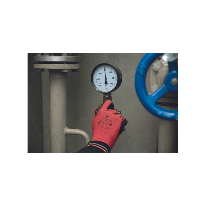 Fridrich & Fridrich HORNBILL LIGHT Pracovné rukavice 12 párov