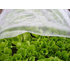 Strend Pro Textília Garden B1106 2x5 m, netkaná, 17 g/m, biela