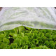 Strend Pro Textília Garden B1106 2x5 m, netkaná, 17 g/m, biela