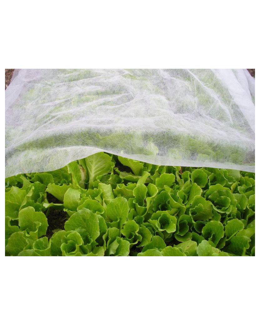 Strend Pro Textília Garden B1106 2x5 m, netkaná, 17 g/m, biela