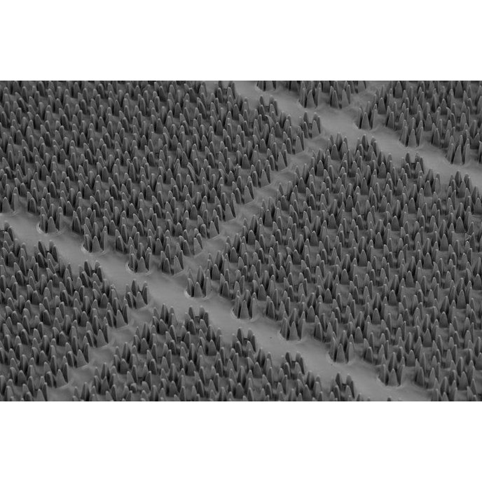 MagicHome Rohožka na čistenie obuvi, pred dvere, 65 x 90 cm