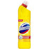 Domestos Citrus Fresh Dezinfekčný WC čistič 750 ml