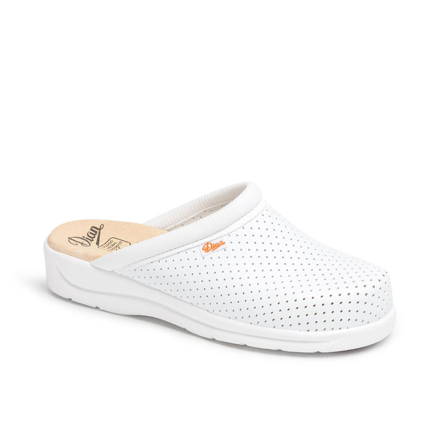 Dian PISA OB Zdravotná pracovná obuv