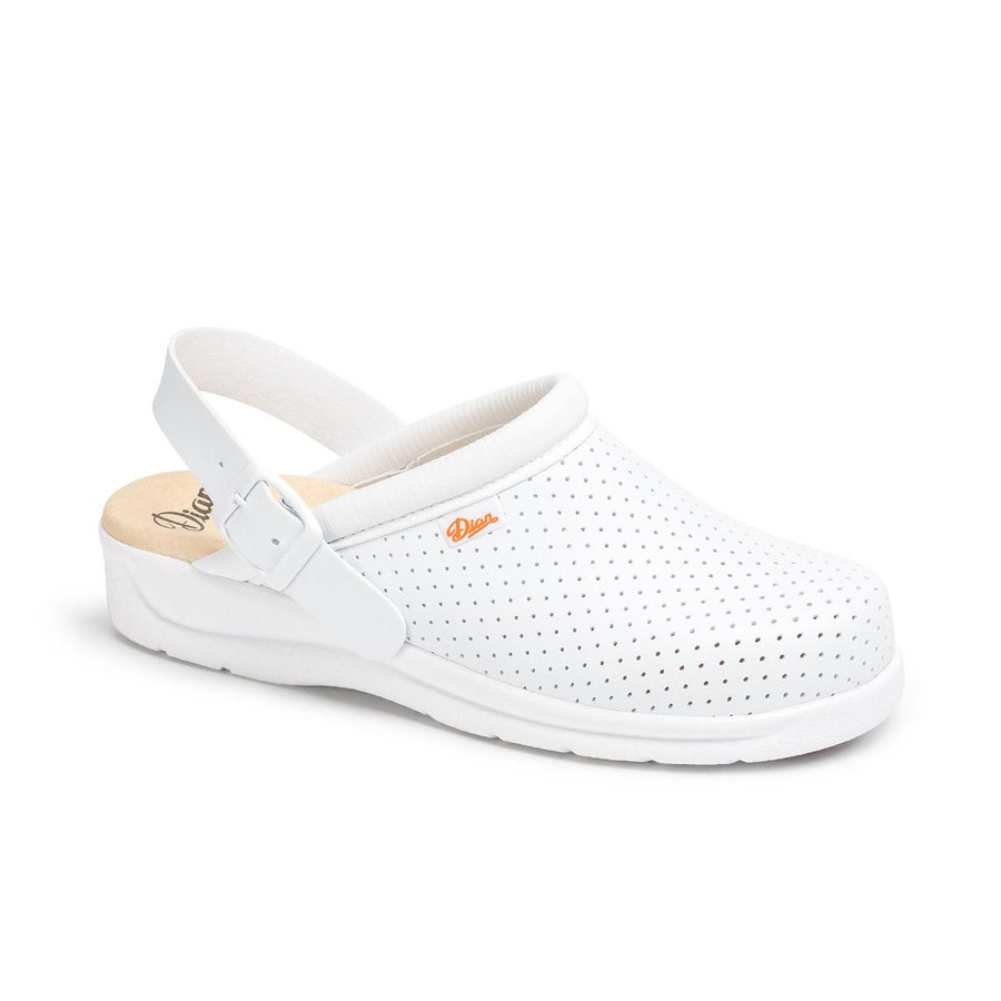 Dian PISA CORREA OB Zdravotná pracovná obuv