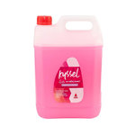 ANEX KYSSEL Odstraňovač vodného kameňa 5 kg