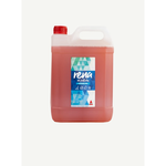 ANEX RENA Koral Čistiaci a umývací prípravok na podlahy 5 kg