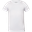 biela