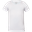 biela