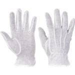 Cerva BUSTARD Bavlnené rukavice 12 párov