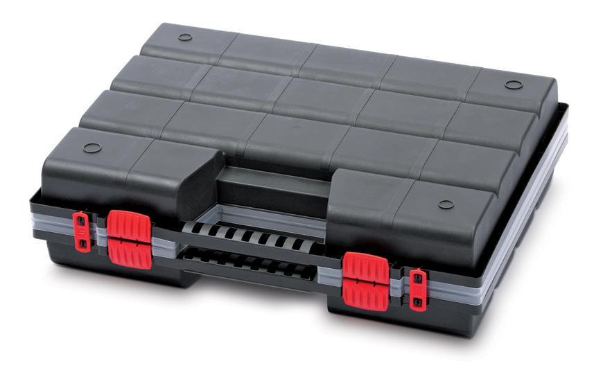 Prosperplast Kufríkový organizér NOR20DUO, 49x39x13 cm, bal. 2 ks