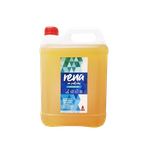 ANEX RENA Limetka Čistiaci a umývací prípravok na podlahy 5 kg